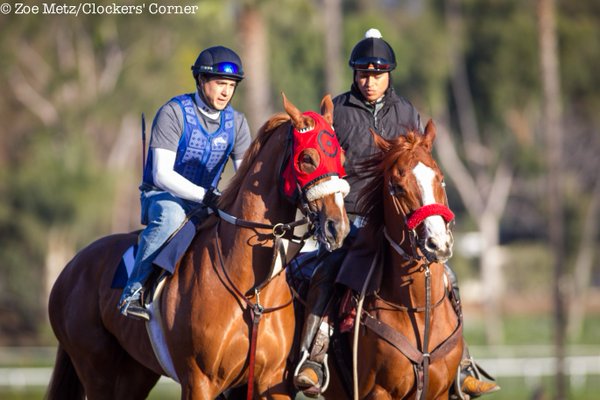 jonatanmezalg's tweet photo. SMOKEY IMAGE(Southern Image) briseo hoy 1000 en 59.4 paso los 800 en 47 + fracción #GoodColt https://t.co/0NY19t0H64