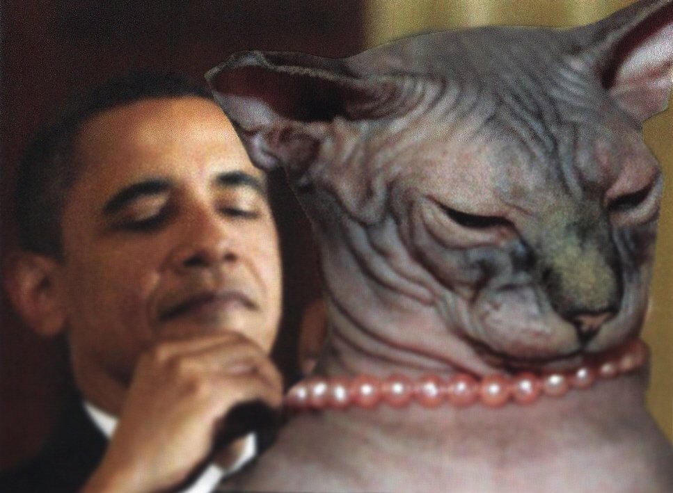 Happy prejident day!! <a href="/POTUS/">President Donald J. Trump</a>  #PresidentsDay  #President #Obama