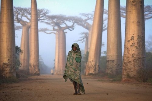 Beautiful Earth (@beautyloveearth) on Twitter photo 