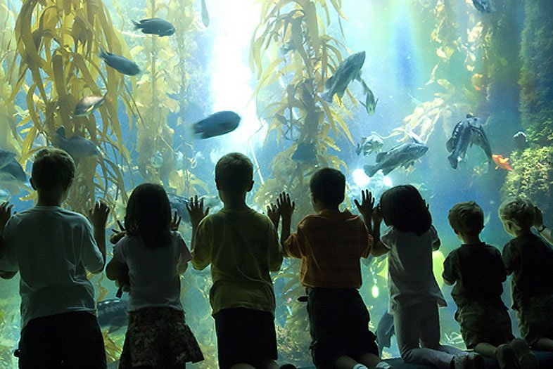 Make it a great week with these events. sdmag.us/4e8 <a href="/FashionValleyCA/">Fashion Valley Mall</a> <a href="/Birch_Aquarium/">Birch Aquarium</a> <a href="/SDMA/">San Diego Museum of Art</a> <a href="/SDBrewFest/">SD Winter Brew Fest</a>