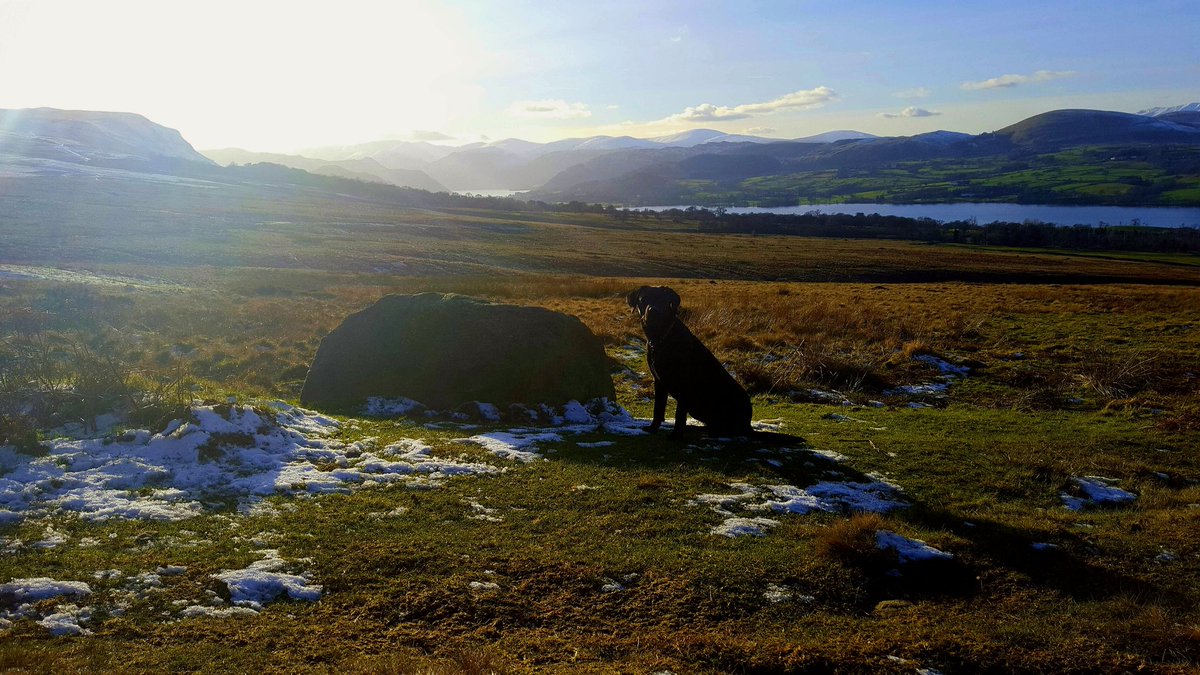 DramLakelandLab's tweet photo. @CumbriaWeather thanks forthe good weather 2day looking over#Ullswater @cumbriaisopen @NotJustLakes @TheRealBerghaus https://t.co/yWNIp7goeu