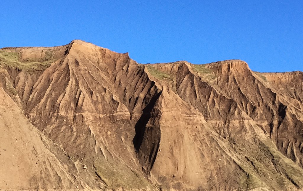 findingnature's tweet image. Filey today