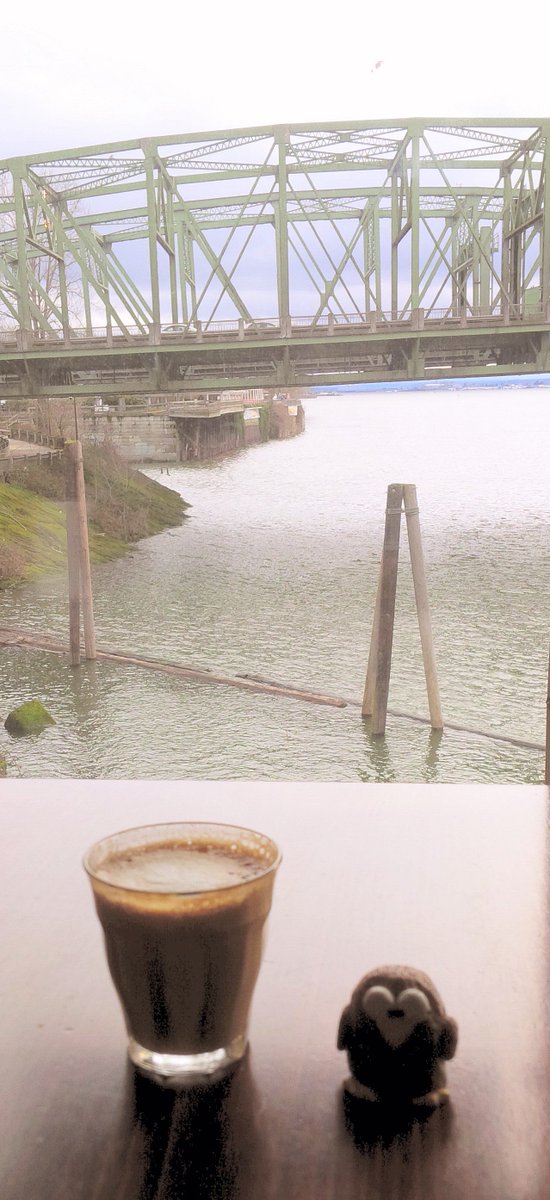 Niki Owl tweet media