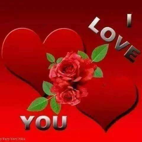 aussinkarate's tweet photo. @kizmetnatasha https://t.co/sFAiVp04tr