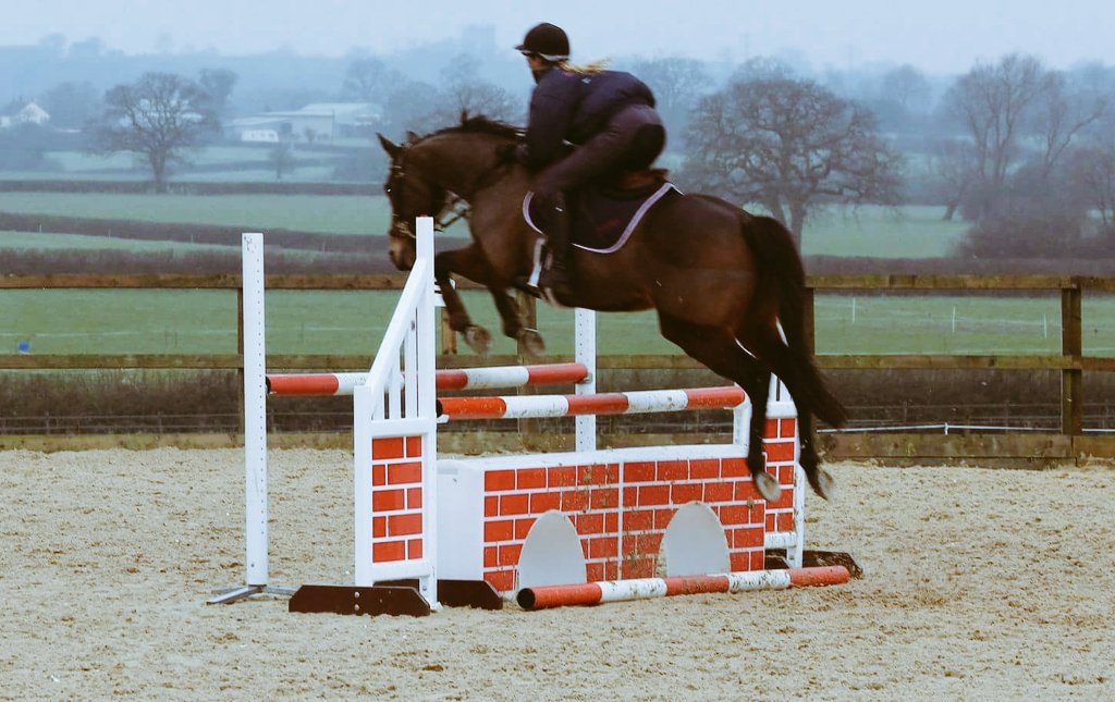 SWShowjumping's tweet image. Great lesson with this little lady, feeling positive for Blue Chip Championships ☺. #ThisGirlCan