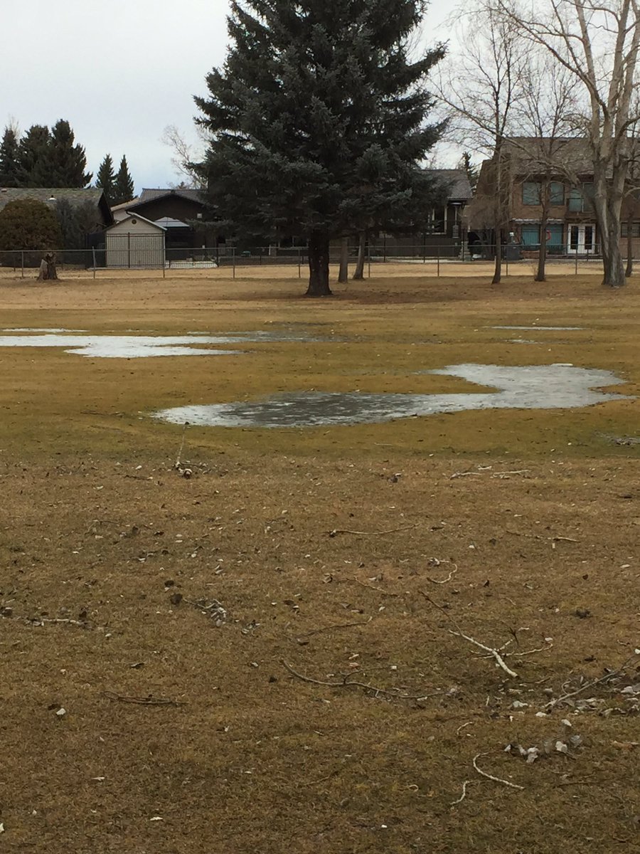 zdansuper's tweet photo. With all the warm temps, hard to believe but the ground is frozen, as evident by the ice on the course. #stillFeb https://t.co/cPZowFLET6