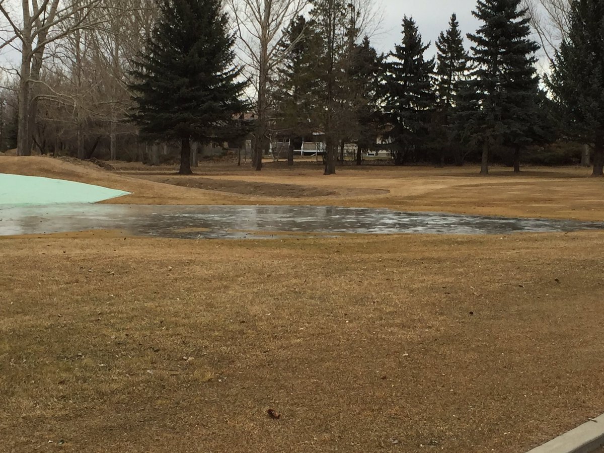 zdansuper's tweet photo. With all the warm temps, hard to believe but the ground is frozen, as evident by the ice on the course. #stillFeb https://t.co/cPZowFLET6