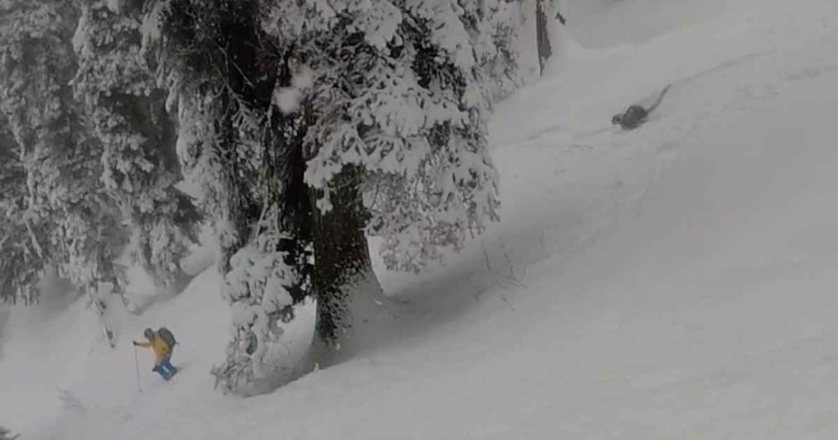 HuffPost's tweet photo. Skiers stumble across endangered snow leopard https://t.co/pGIDnF8rvT https://t.co/HO11CVsDTM