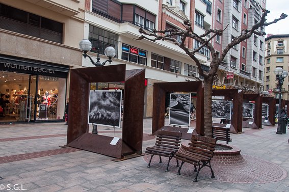 bloganden27's tweet photo. Así se ve Sebastiao Salgado en las calles de Bilbao. #BloggerTraveller de febrero
https://t.co/0CIjFpeWCh https://t.co/WPD6P7uoCF
