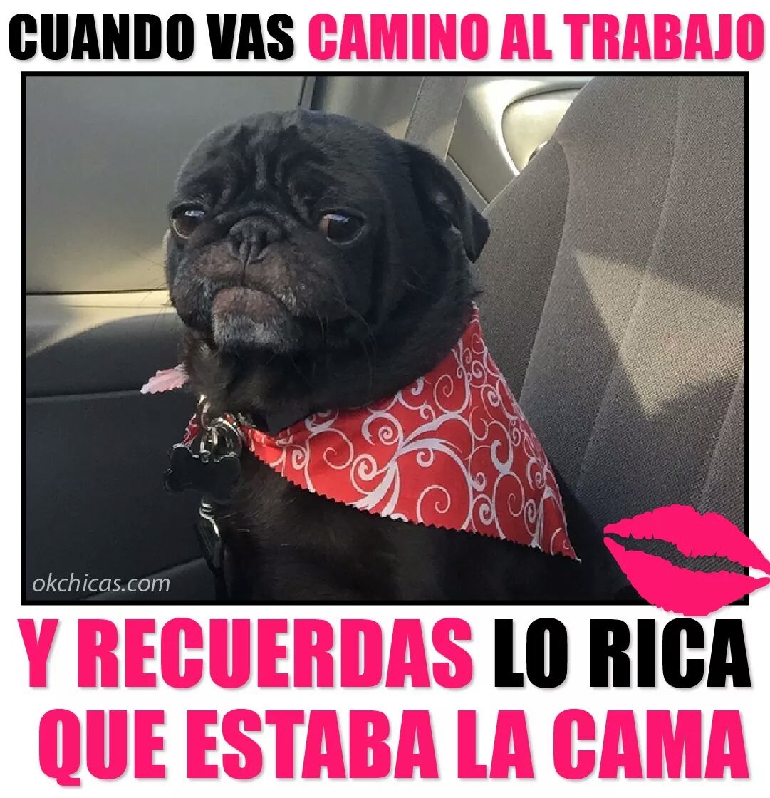 sabesquesiii's tweet photo. Yoooooo todos los días! https://t.co/A9pOmXQ1OP