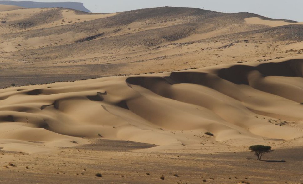 Desert dunes landscape  - great shot of scenery