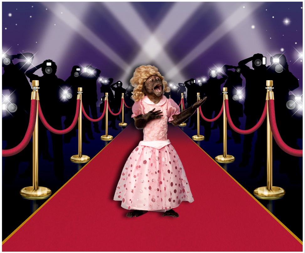 MontyMonkeyUp's tweet photo. Melody, you're not supposed to sing 'on' the red carpet! #Grammys https://t.co/CBqjFqdZJA