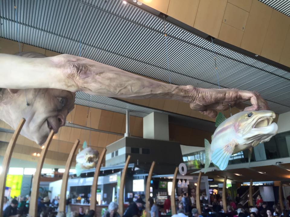 Destination_WA tweet media