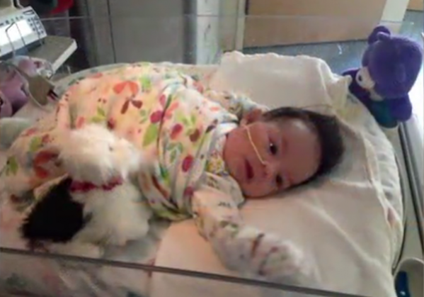 whaxyapp's tweet photo. This 2 Month Old Girl Just Became the World's Youngest Medical #Cannabis Oil Patient - https://t.co/DmYhfwlXc2 https://t.co/5lArQLVE8n