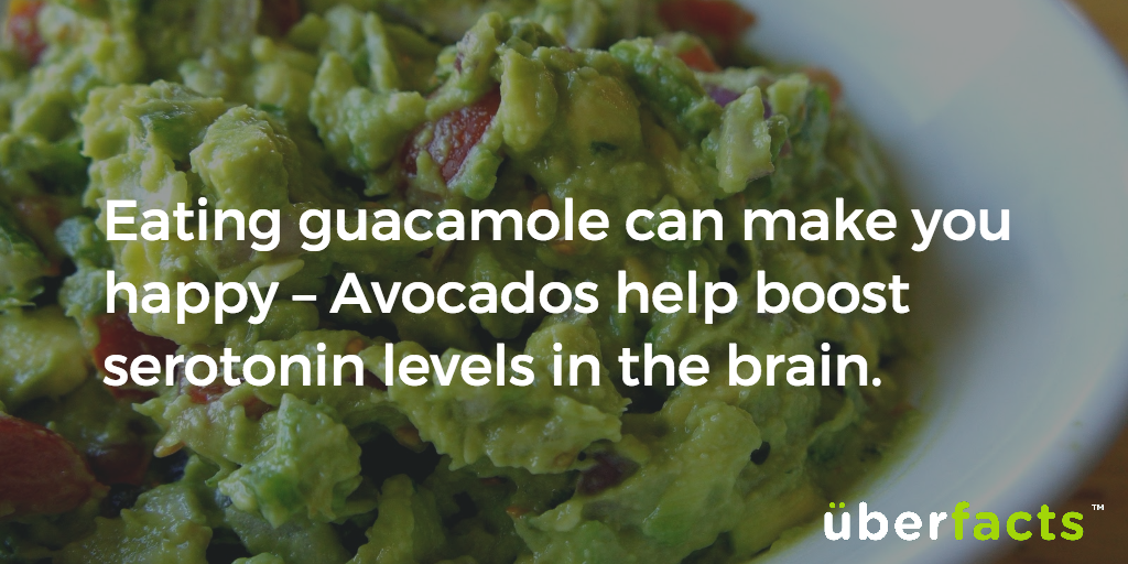 UberFacts's tweet photo. Eat up. https://t.co/2bT1jAErJR