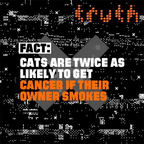 truthinitiative's tweet photo. Smoking = no cats = no cat videos.  Stop smoking and save the cat videos w/ @truthorange! #CATmageddon https://t.co/WVSFjAJtLa via @TMZ