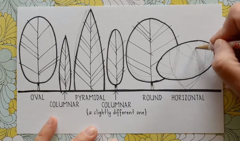 GardenDesignMag's tweet photo. Planning your #garden or love #art? Learn to draw #trees w/ @lisaorgler https://t.co/SCEFgHcaAi @JourdanGMG https://t.co/95Ek55TmS7