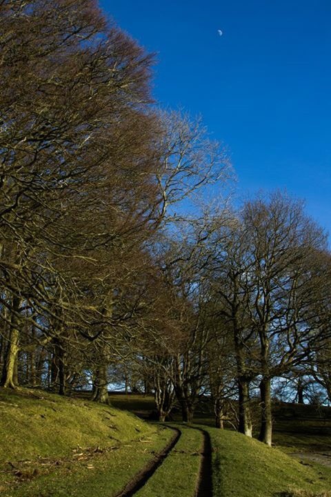 TrailJesters's tweet photo. @rundolliesrun your Powis 10 #trail #race looks amazing #cantwait https://t.co/DQMsgPMzQ5