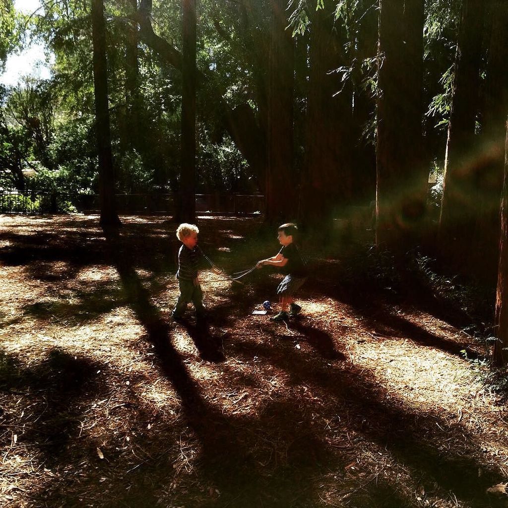 jaybirdg's tweet photo. Jedi Knights in training they are. #intheforest https://t.co/b3Och3bzQV https://t.co/WQSfU5Wqd5
