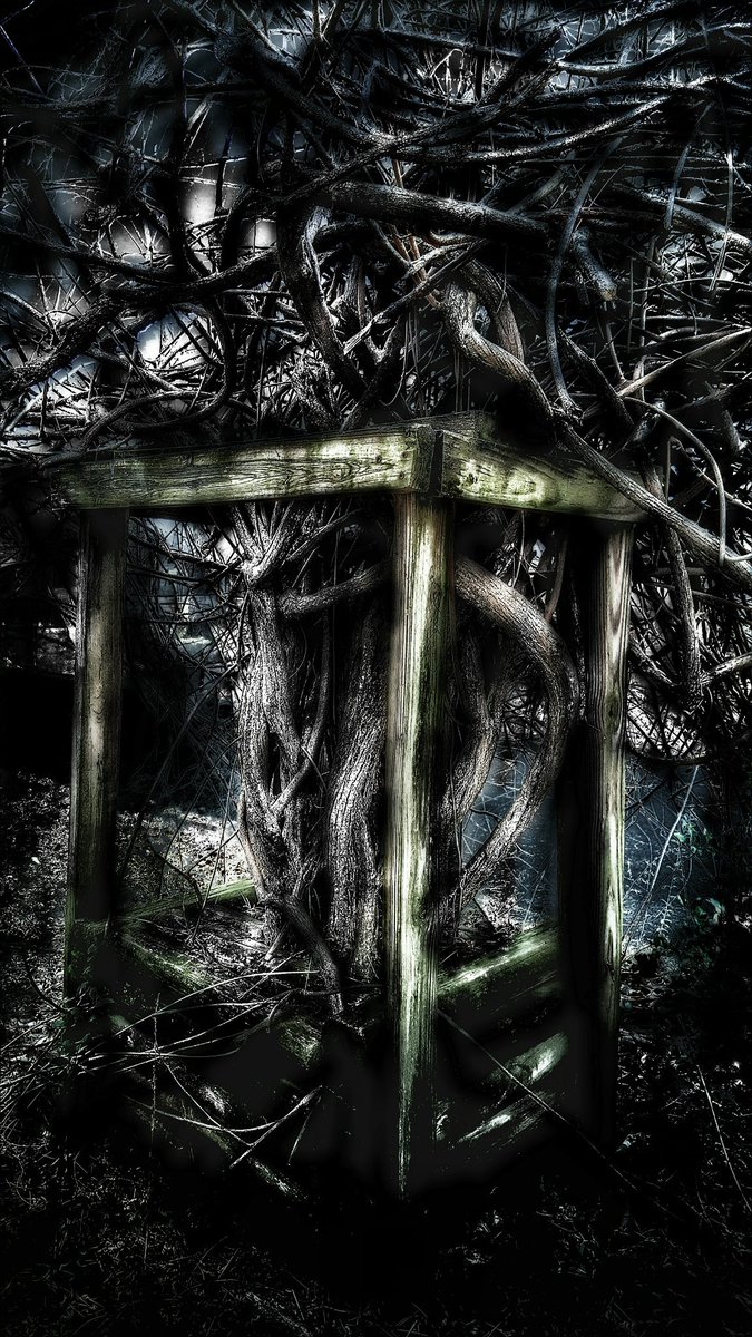 bARTenderPix's tweet photo. @bARTenderShots #trees #eerie #overgrown #fantasy https://t.co/1f6pSpLL6q