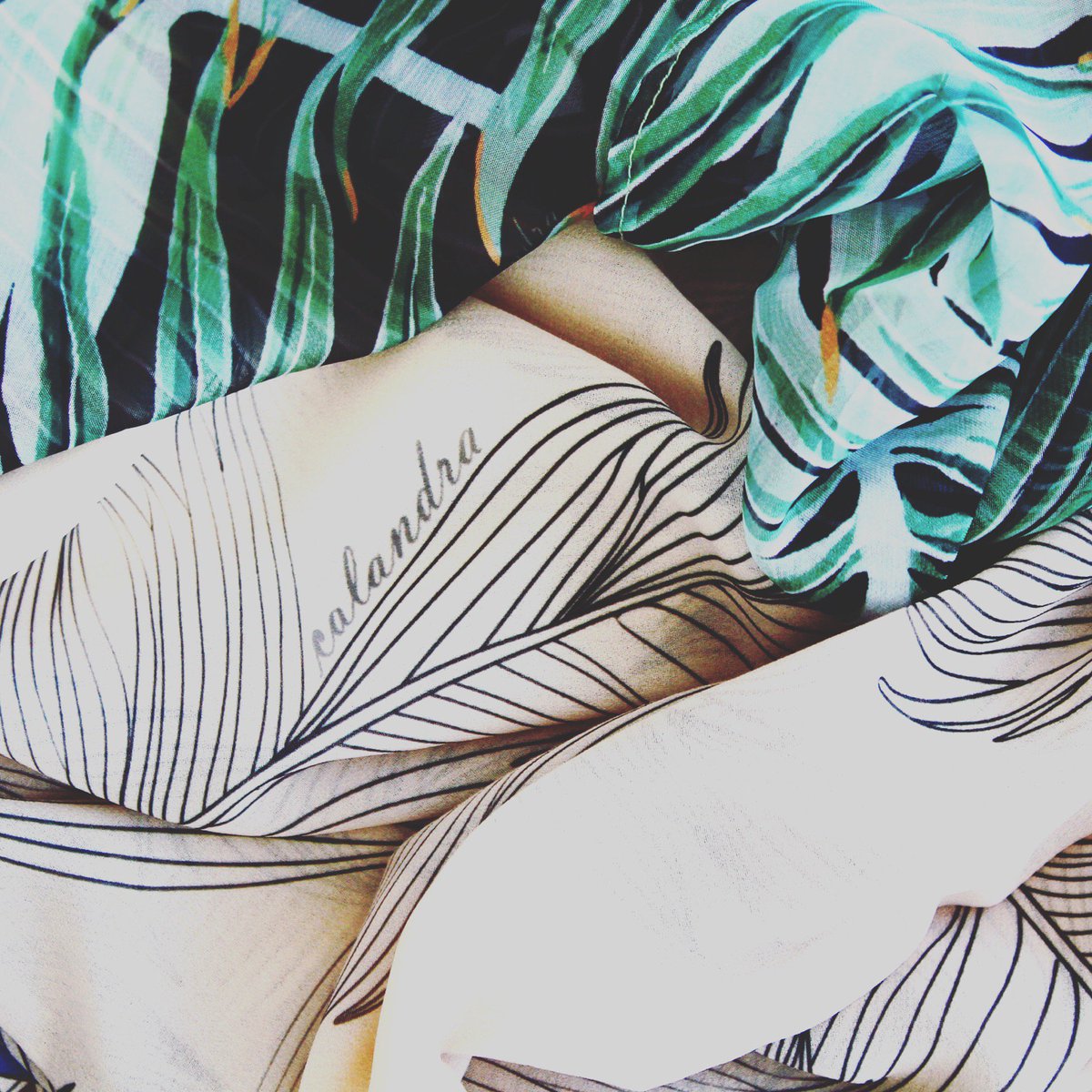 Patterns | <a href="/CALANDRAPRENSA/">CALANDRA</a>