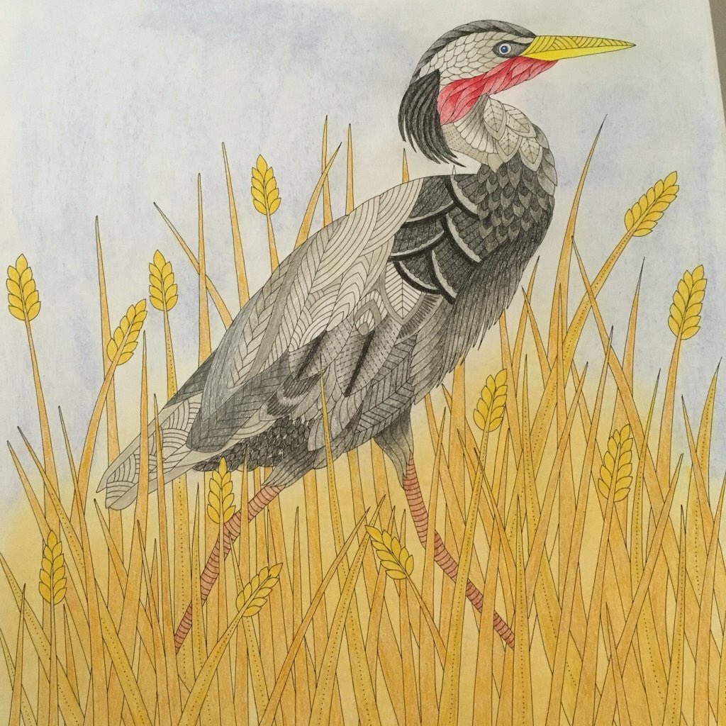 Coloured by <a href="/sweetpeasmithy/">x</a>