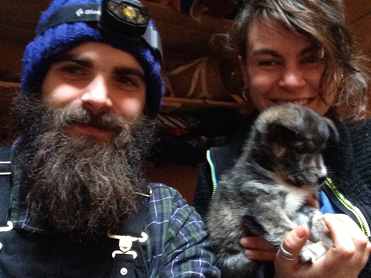 Young Agrarians tweet media