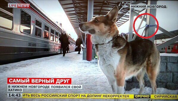 CbSRnb5UMAAOcL0.jpg:large