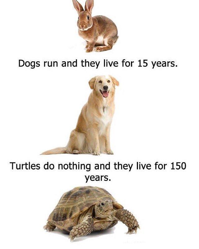 StumblerVideos's tweet photo. Laziness is the key https://t.co/sBukYO38oe