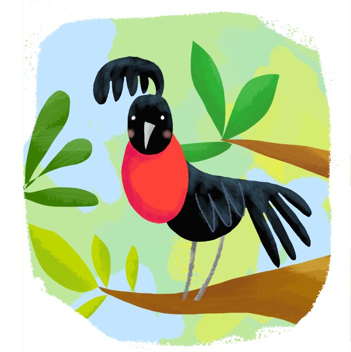 Anatxiqui's tweet image. Umbrella Bird #AnimalAlphabets Elegantly late!