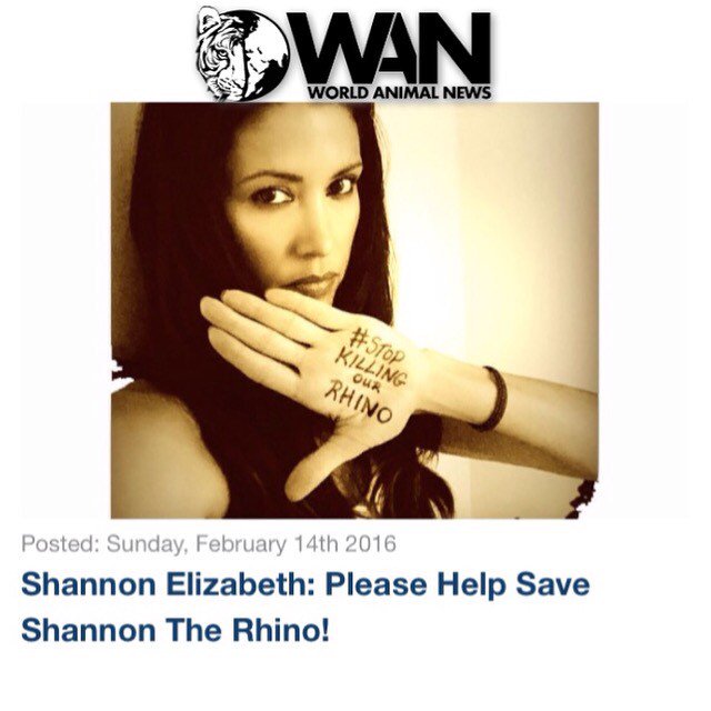 WorldAnimalNews's tweet photo. Please help Shannon Elizabeth help Shannon the Rhino! TAKE ACTION: https://t.co/9zFB7q5sQ1 #StopKillingOurRhinos https://t.co/epTlcc8jvg