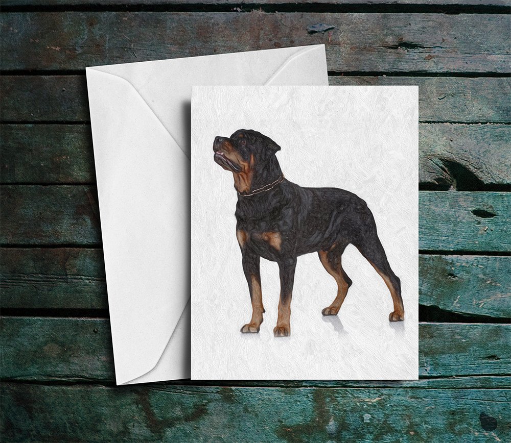 WeLoveCMYKO's tweet photo. #greetingcard #notecard #card #stationery #etsy #rottweiler #dogsoftwitter #dogs #notecard https://t.co/LeQ9v1c5Rz https://t.co/r2qsmrByl6