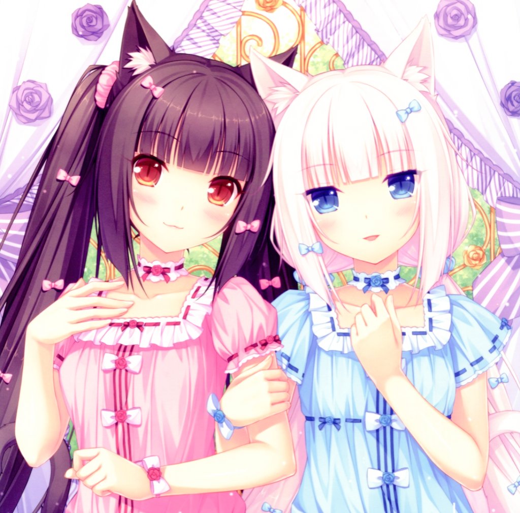 Chocola Nekopara On Twitter Hi Nice To Meet You O≧ ≦o Chocola