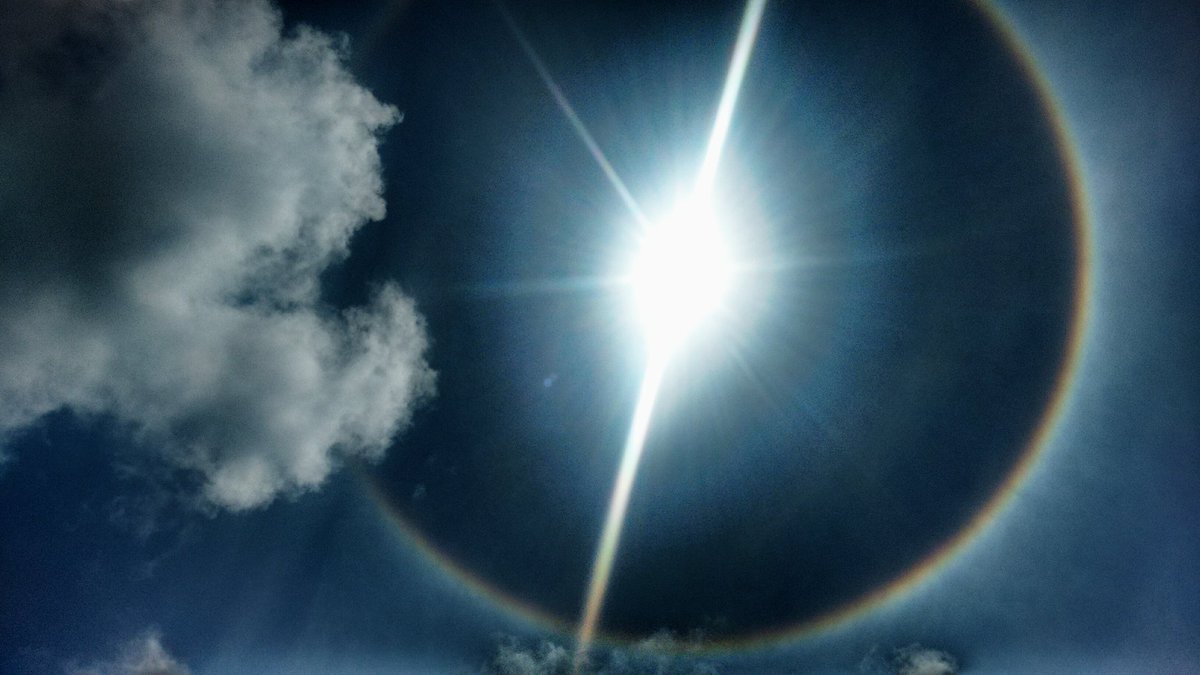 PolyAlicia's tweet photo. 🌞O sol brilha para todos! ❣☀ https://t.co/aUQxqiAbVz