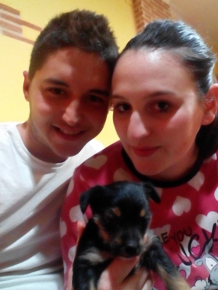 NestorGascon's tweet photo. Bienvenida a casa Leila! Te espera una bonita vida juntos a nosotros :) @Talonlaura Os quiero cachorras 😊😘 https://t.co/r7cQJfOcTa