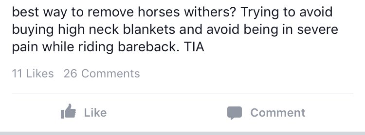 theequinebitch's tweet photo. The one and only, junior riders news. https://t.co/3PGY0URJ2S
