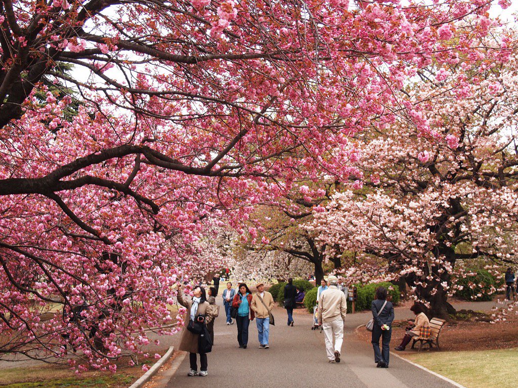 lacsd's tweet photo. @Travelfire : Thank you so much for adding me to list Travelers in Japan.
#Travel #Tokyo #Japan2014 https://t.co/lyuI3HWXUP