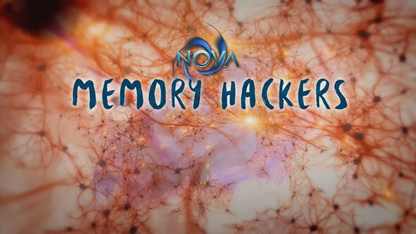 sistematv's tweet photo. La memoria representa lo que somos y lo que hacemos NOVA presenta #MemoryHackers HOY 9pm en @sistematv @PBS https://t.co/6wbdasrr6G