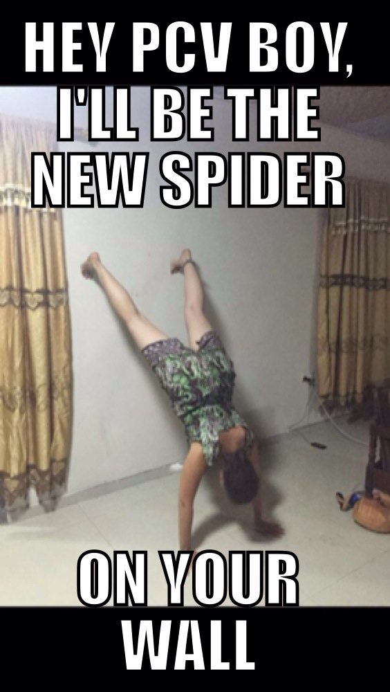 HeyPCVBoy's tweet photo. Hey Boy, we can kill our own spiders and put something a little sweeter on your wall #heyboy #bigscaryspiders https://t.co/2rokyY6qm3