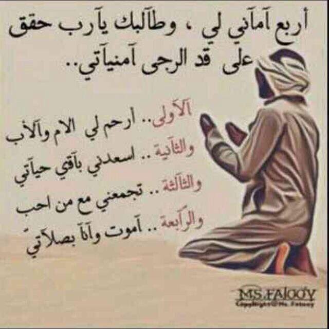 m_ebn_ajel's tweet photo. https://t.co/s4PJb4ri1z