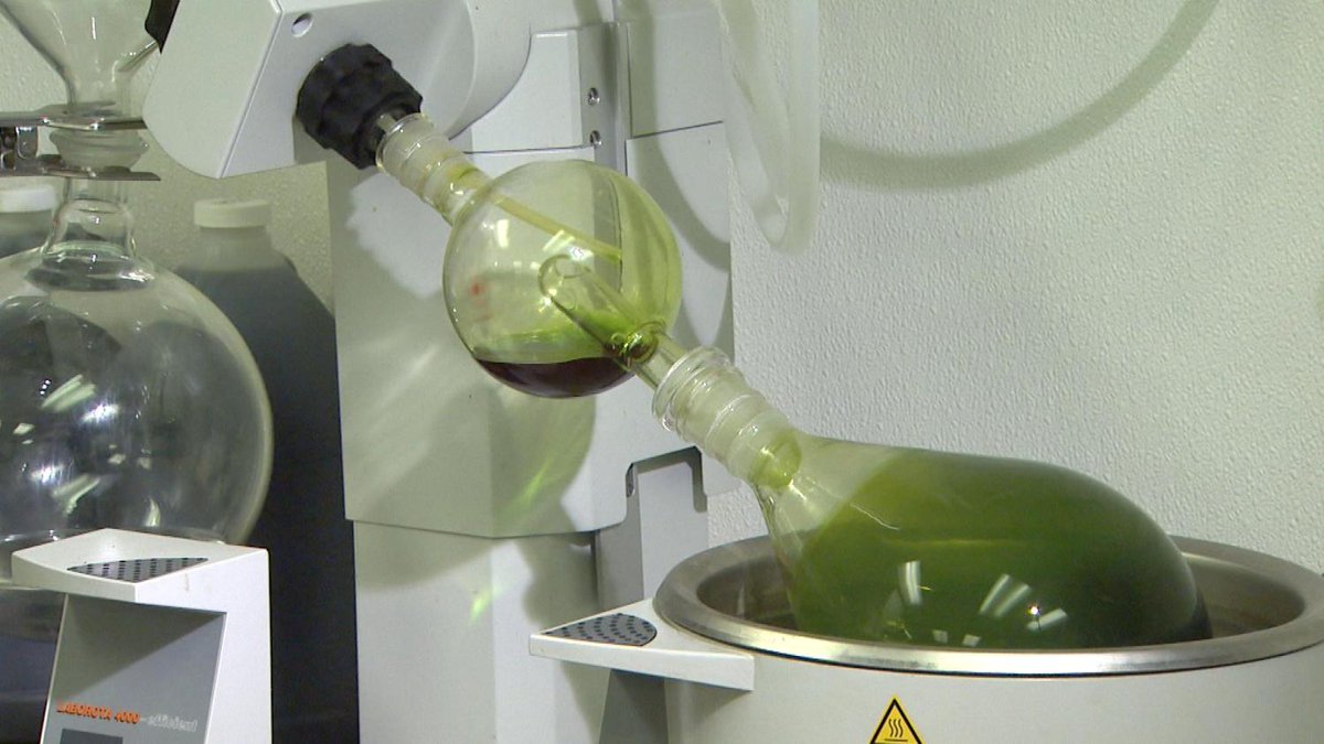 THEMMEXCHANGE's tweet photo. 2-month-old treated with #cannabis oil is youngest medical #marijuana patient to date

https://t.co/BWn1udXCpM #MME https://t.co/GpEEyDswqg