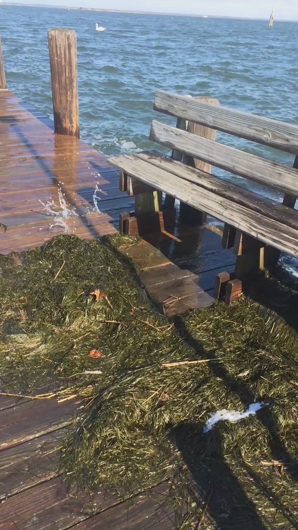 FIWaves's tweet photo. RT @thornbergbuild: #dunewood #fireisland #flooding at the #ferry dock today. #h… https://t.co/j4X5OabVQy https://t.co/wyz1y2ZqyS