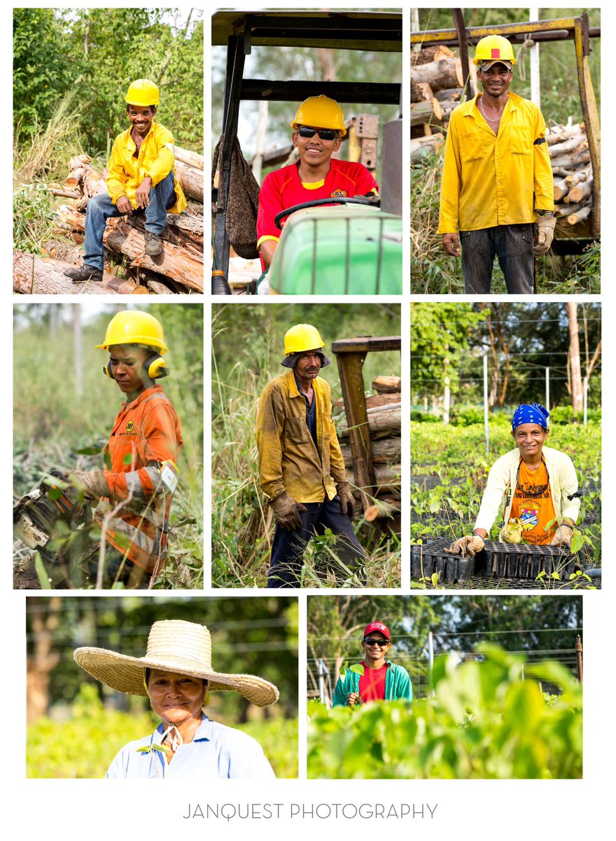 JanquestPhoto's tweet photo. Los trabajadores de plantaciones de árboles de nuestro país. #Janquest #GreenWood #Covisual https://t.co/Q7XIuSn2yM