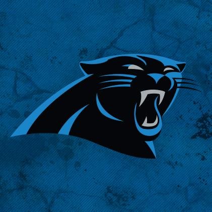 Panthers rock how a dresies