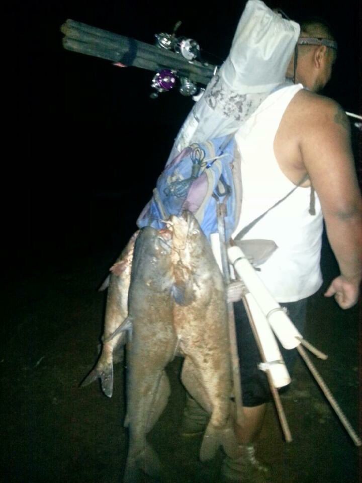 jack_trippa's tweet photo. #ABU6500c3 #PROANGLERRODS #CATFISHING #BLUES https://t.co/Q6QFBltxt3