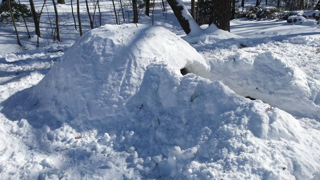 _survivalschool's tweet photo. Quinzee side &amp; inside view Have you ever built a quinzee? #survival #preppertalk #survivalist #prepper #preparedness https://t.co/jRTfV5PLe5