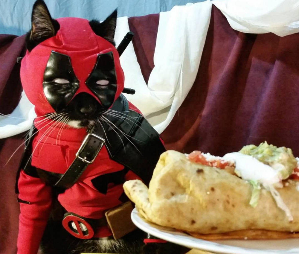DeadpoolFanFeed tweet picture