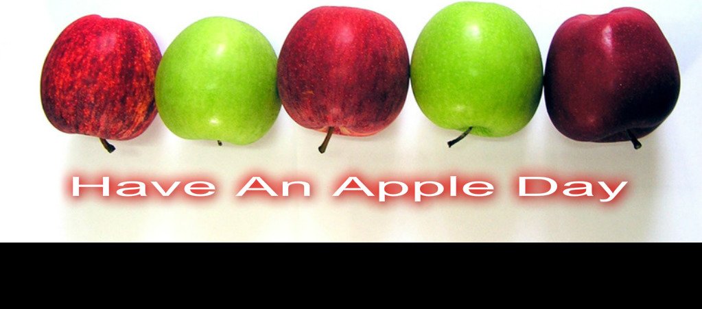 Fit60's tweet image. How to propagate an apple tree from your snack apple
organicgranny.com/2016/01/how-to…