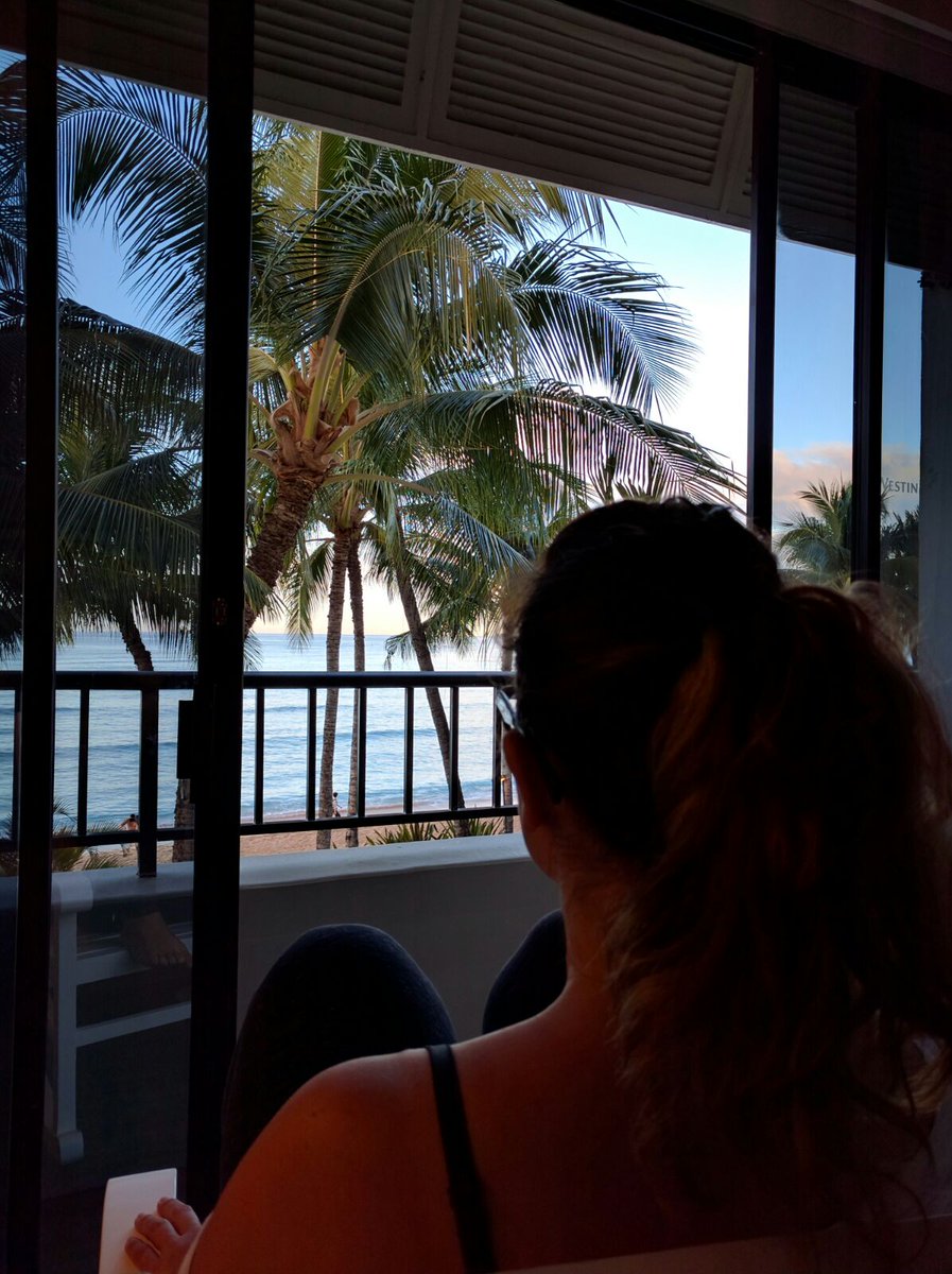 mandy_p's tweet photo. @MoanaSurfrider https://t.co/dRsX30OObr