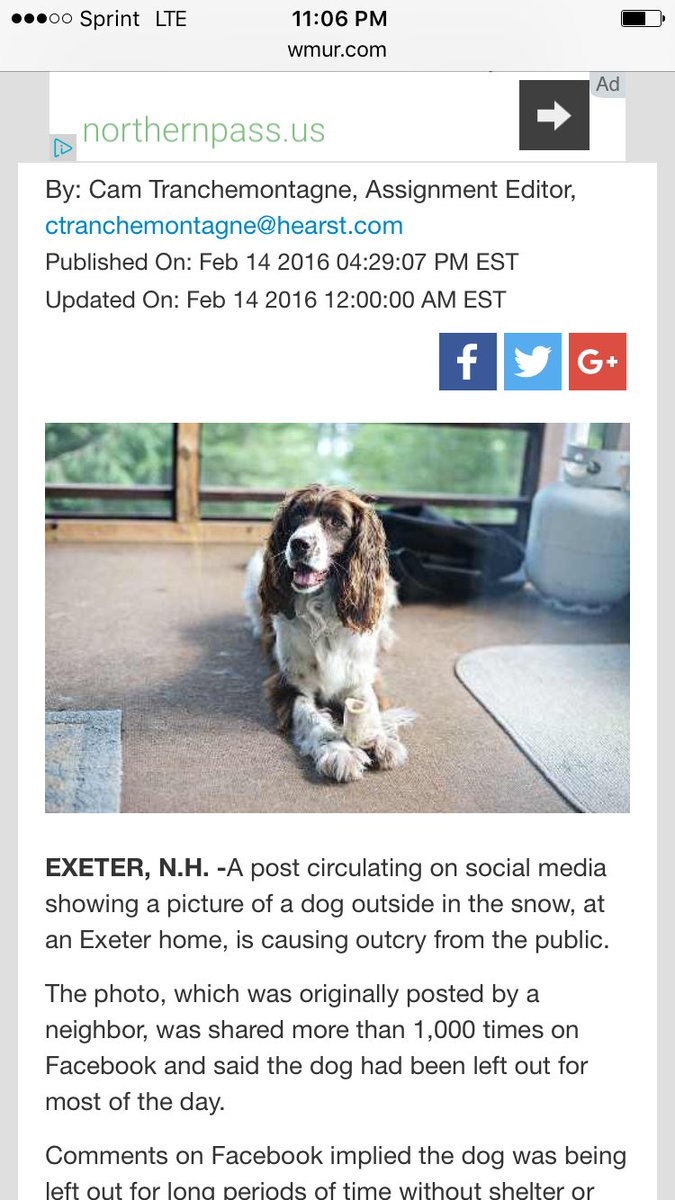 MaddyCatMeow's tweet image. @WMUR9 Funny how my post is still pending on WMUR yet you clearly read it. #scandal #justiceforRuby #freedomofspeech